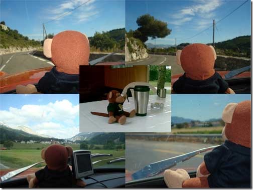 Collage of Timmy's Holiday Snaps