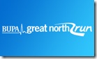 gnr_logo