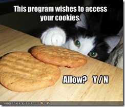 funny-pictures-cat-wishes-to-access-your-cookies